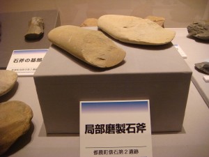 宮崎発掘100年 (7)