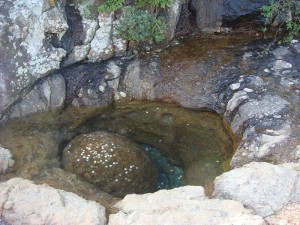 元旦２０１４ (1)