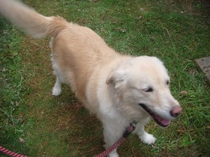 モコ１０１０ (1)