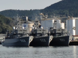 やえやま型＆ひらしま型 (6)