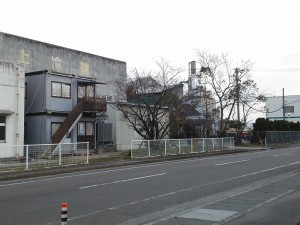 待ち遠しい桜０２２７