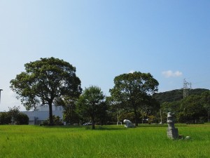 休憩中０８２７ (2)