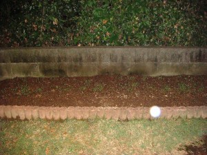 畑作り０８２５