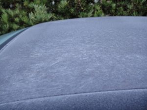 %e5%88%9d%e6%b0%b7%ef%bc%91%ef%bc%91%ef%bc%92%ef%bc%95-1