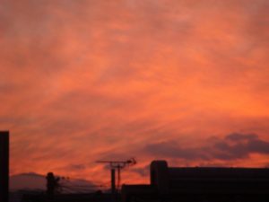 %e5%a4%95%e7%84%bc%e3%81%91%ef%bc%91%ef%bc%92%ef%bc%91%ef%bc%98-2