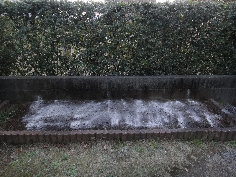 畑作り０１２９ (2)