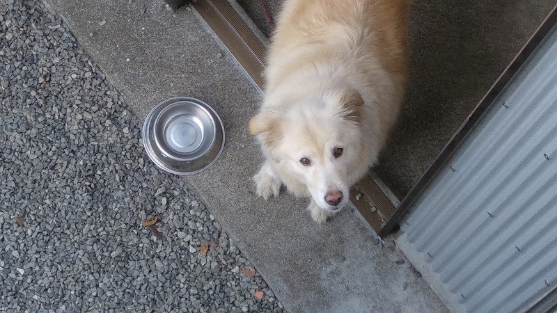 モコ０５２０ (1)