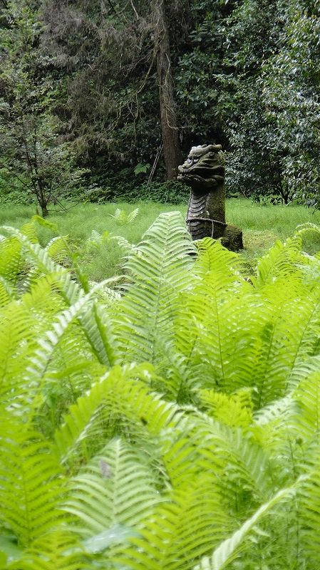 草部吉見神社 (15)