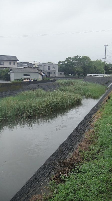 亀崎川０８０６