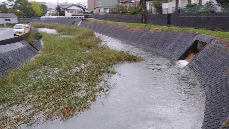 亀崎川１０２２ (1)