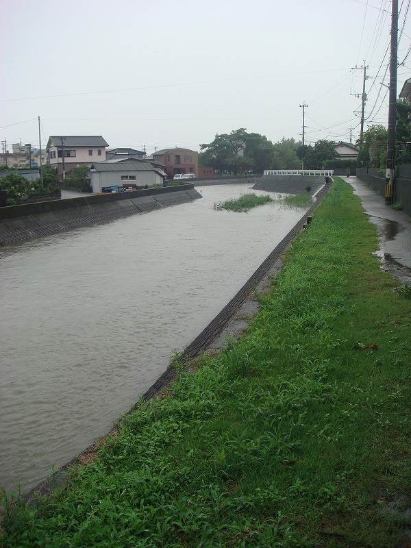亀崎川０８０９ (1)