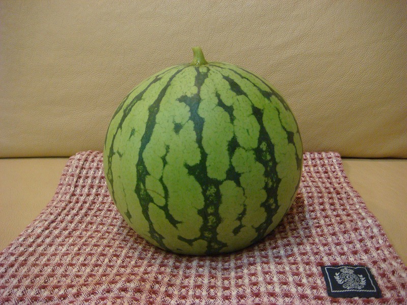 すいか０８１３