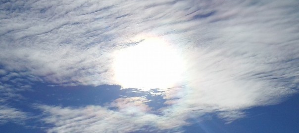 彩雲０９１９ (1)