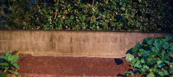 畑作り０９３０