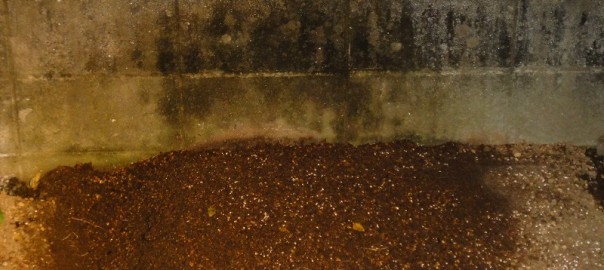 畑作り１１０８