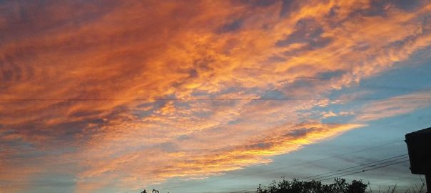 %e6%9c%9d%e7%84%bc%e3%81%91%ef%bc%91%ef%bc%92%ef%bc%90%ef%bc%95