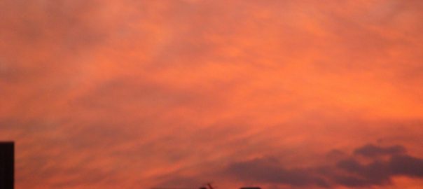 %e5%a4%95%e7%84%bc%e3%81%91%ef%bc%91%ef%bc%92%ef%bc%91%ef%bc%98-2