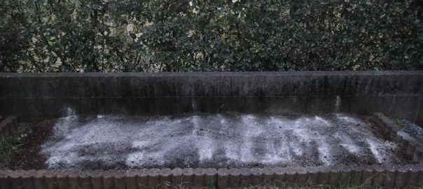 畑作り０１２９ (2)