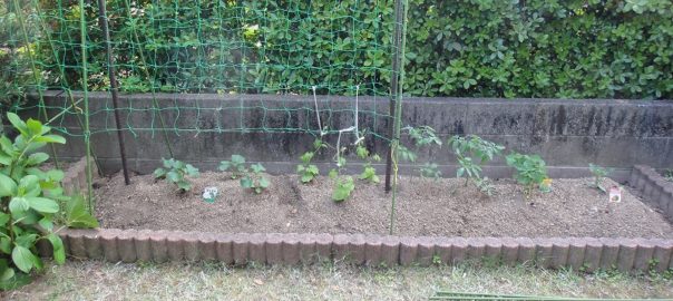 畑作り０４３０