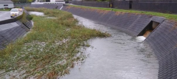 亀崎川１０２２ (1)