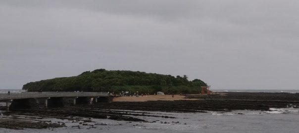 青島１１０９ (6)