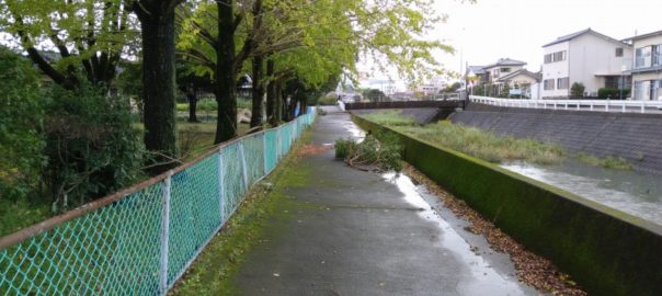 台風の後１０２９